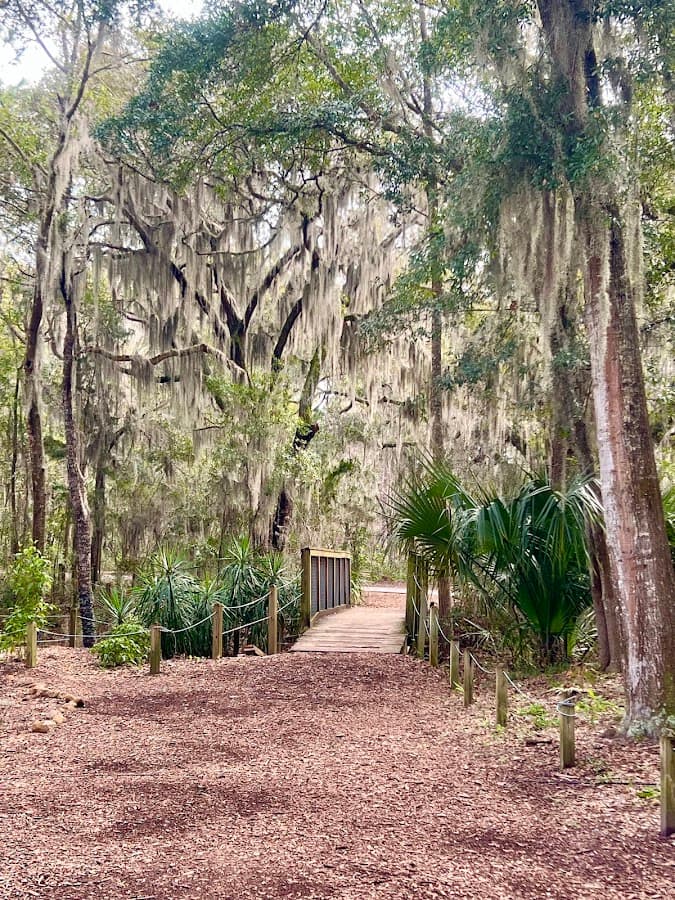 Jacksonville Arboretum