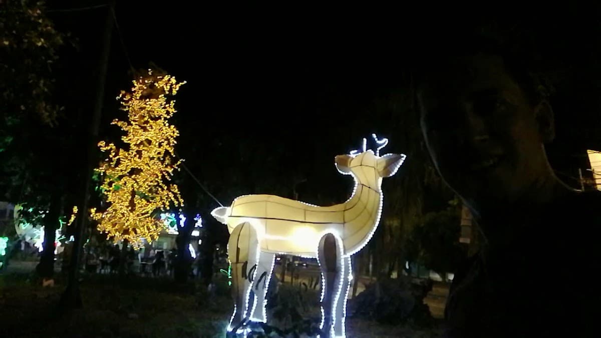 Parque Leesburg Neiva Huila — foto