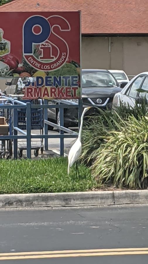 Poinciana Plaza — foto