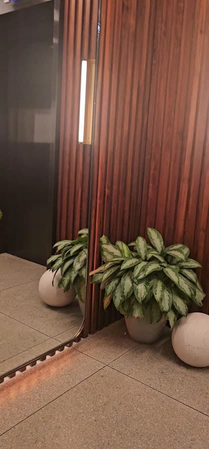 ROOST Tampa — foto