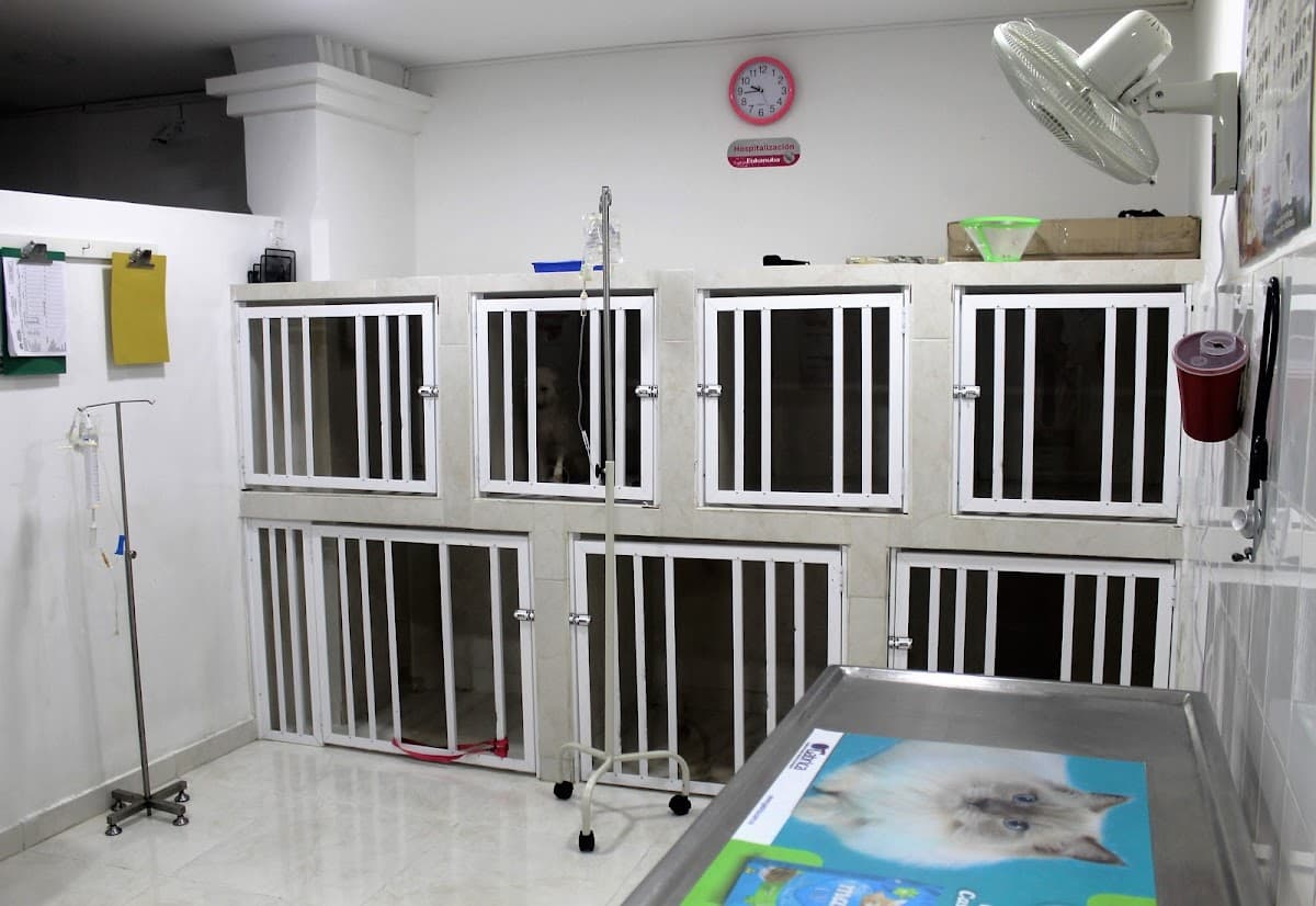 Dog House Clinica Veterinaria y spa S.A.S — foto