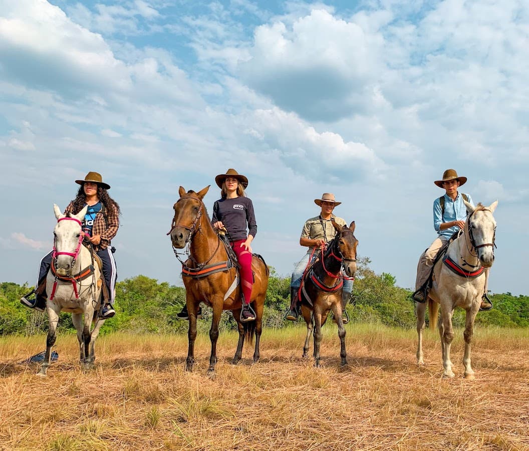 Turismo Vida Silvestre
