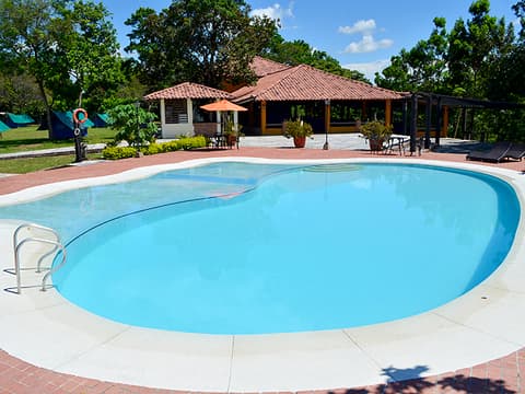 Turismo Vida Silvestre — foto