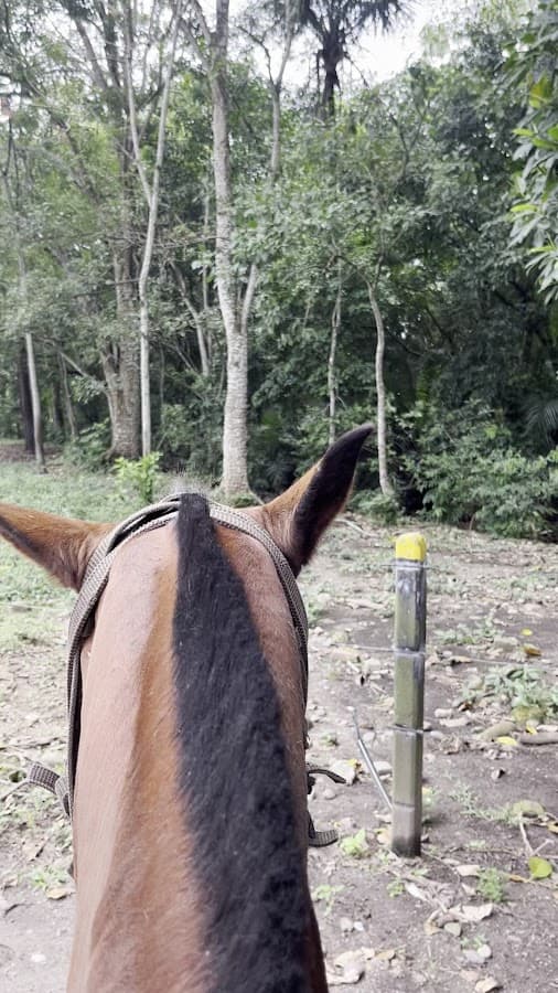 Turismo Vida Silvestre — foto