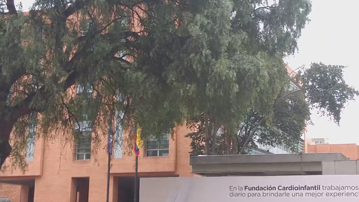 LaCardio — foto