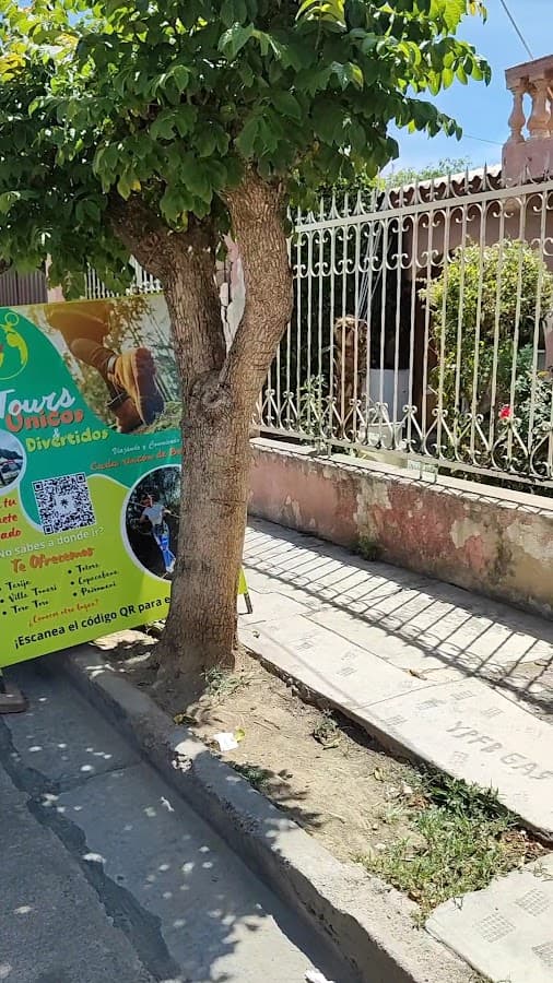 AGREDA Viajes y Turismo — foto