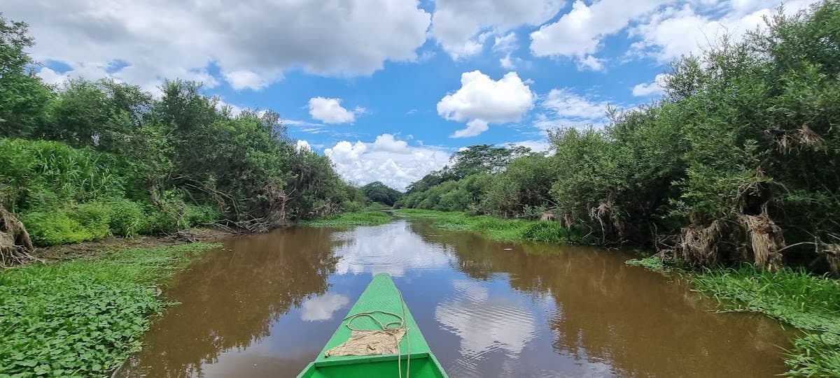 Amazon World Travel Service & Tour Operator