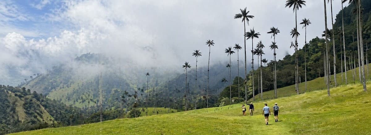 Nature Trips Colombia