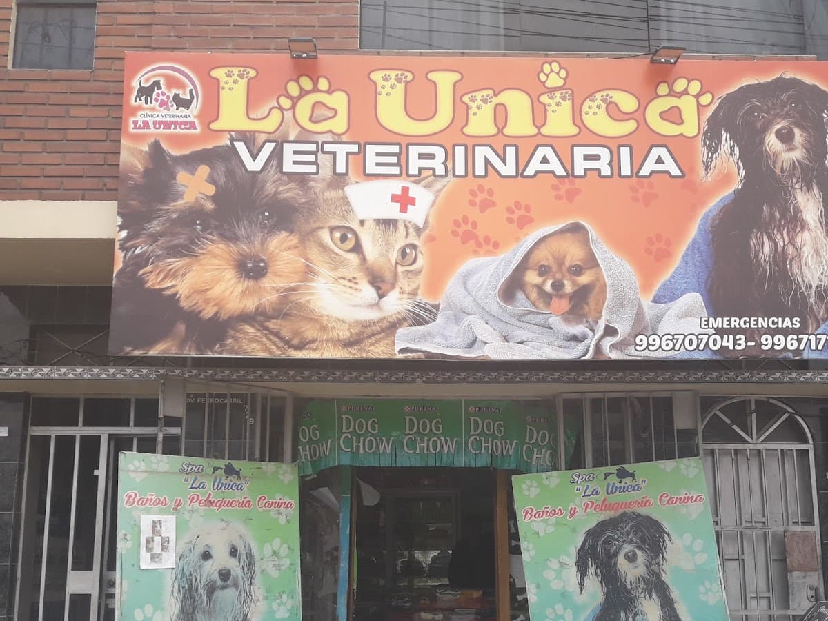 Veterinaria Premium Tres Canes — foto