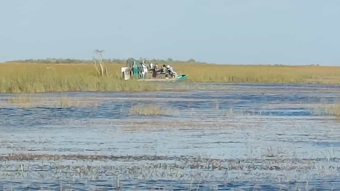 Parque Nacional de los Everglades — foto