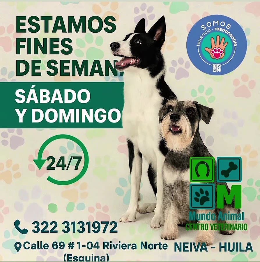 Mundo Animal Centro Veterinario — foto