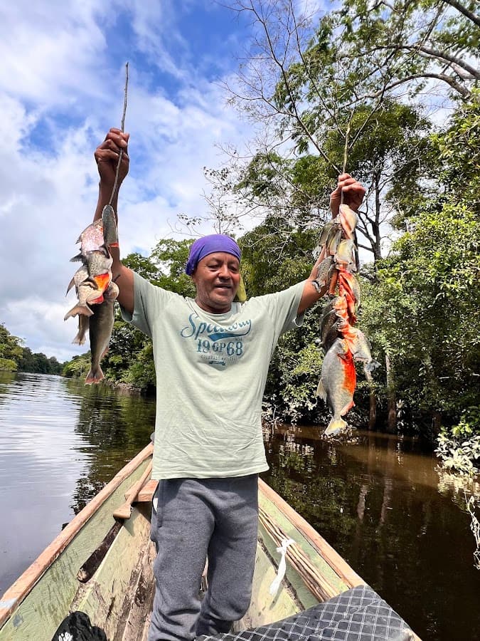 Lupuna Jungle Tours — foto