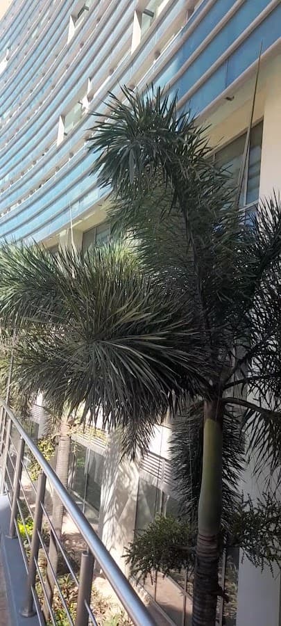 Clínica Portoazul Auna — foto