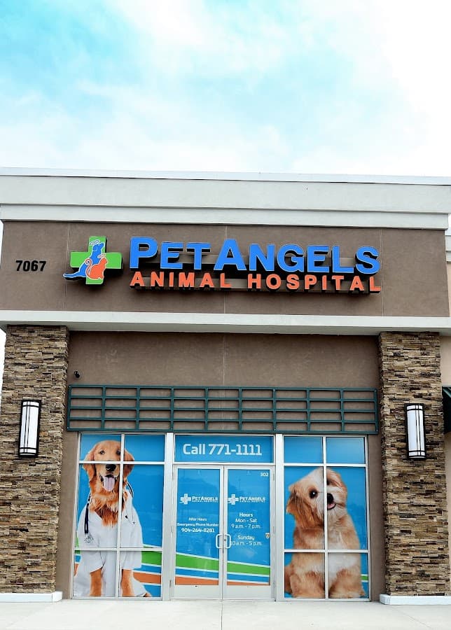 Pet Angels Animal Hospital