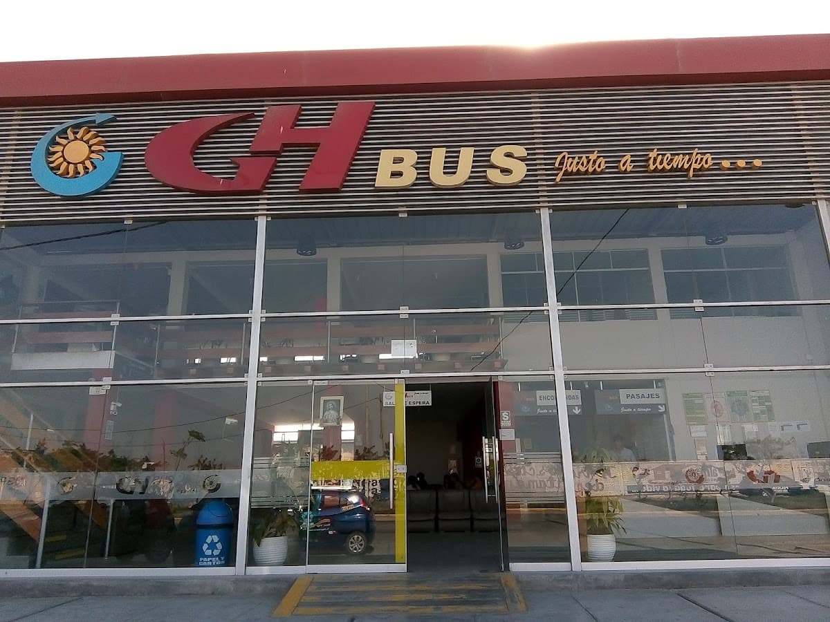 INTERNATIONAL MG BUS — foto