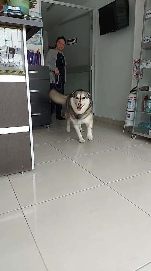 Clínica Veterinaria Niza — foto