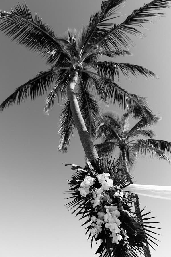 Boutique Event Planners - West Palm Beach