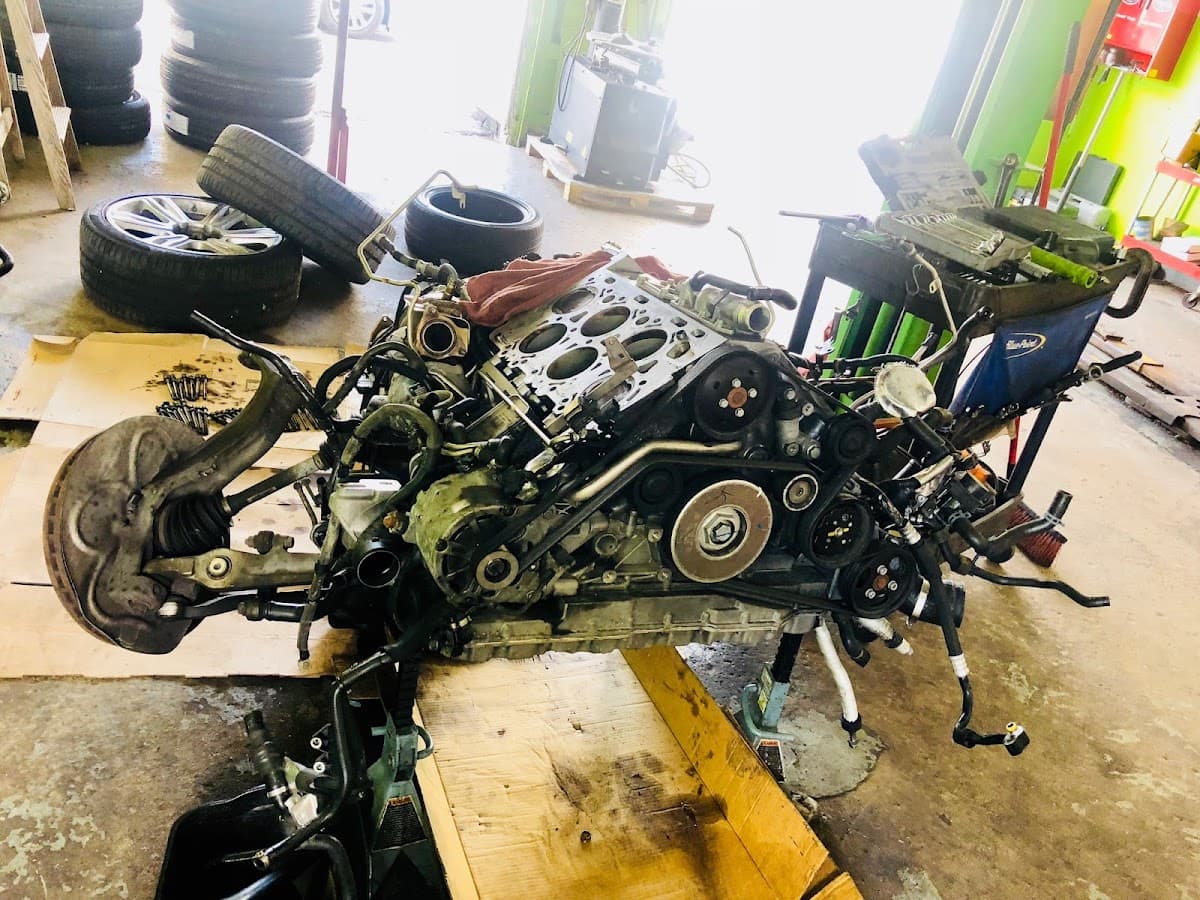 Next Level Auto Electric — foto