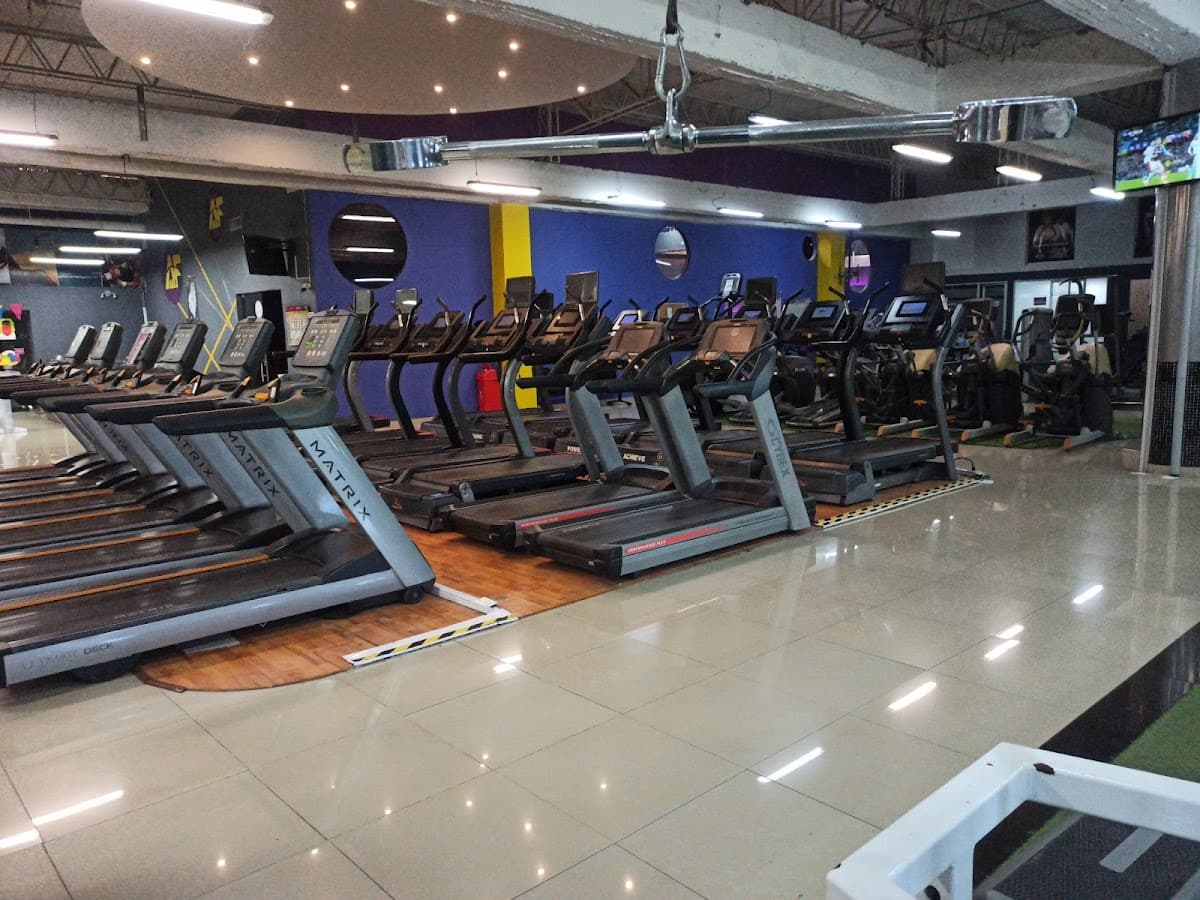 AF GYM