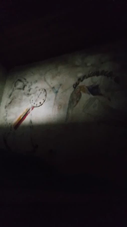 AF GYM — foto