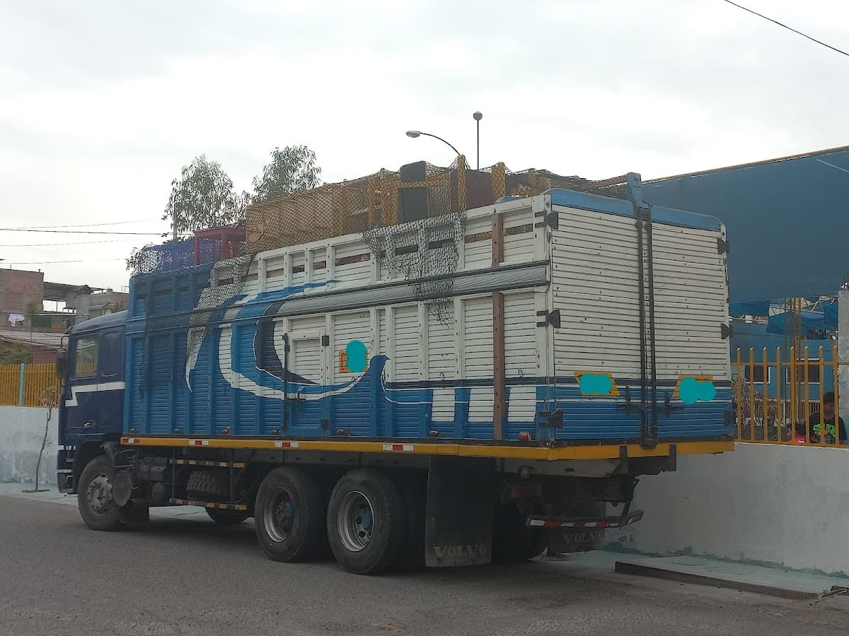 Transportes Transaltisa S.A. - Sede Arequipa — foto