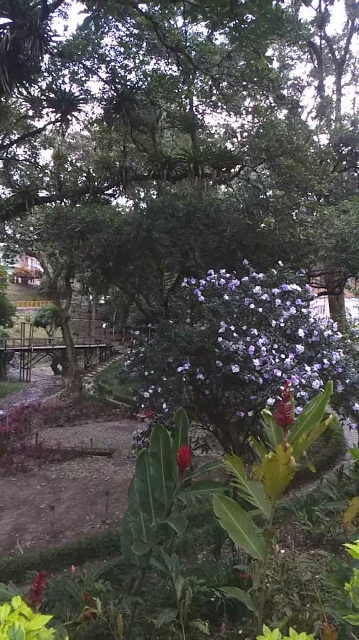 Parque Centenario — foto