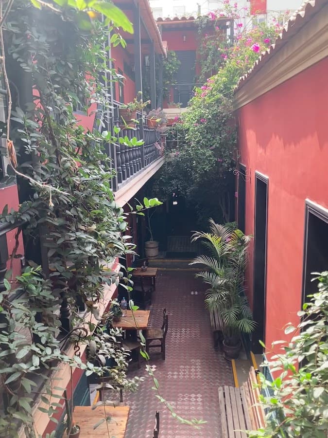 Kaclla, The Healing Dog Hostel — foto