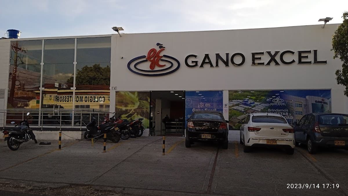 DISTRIBUIDOR GANÓ EXCEL NEIVA - HUILA — foto