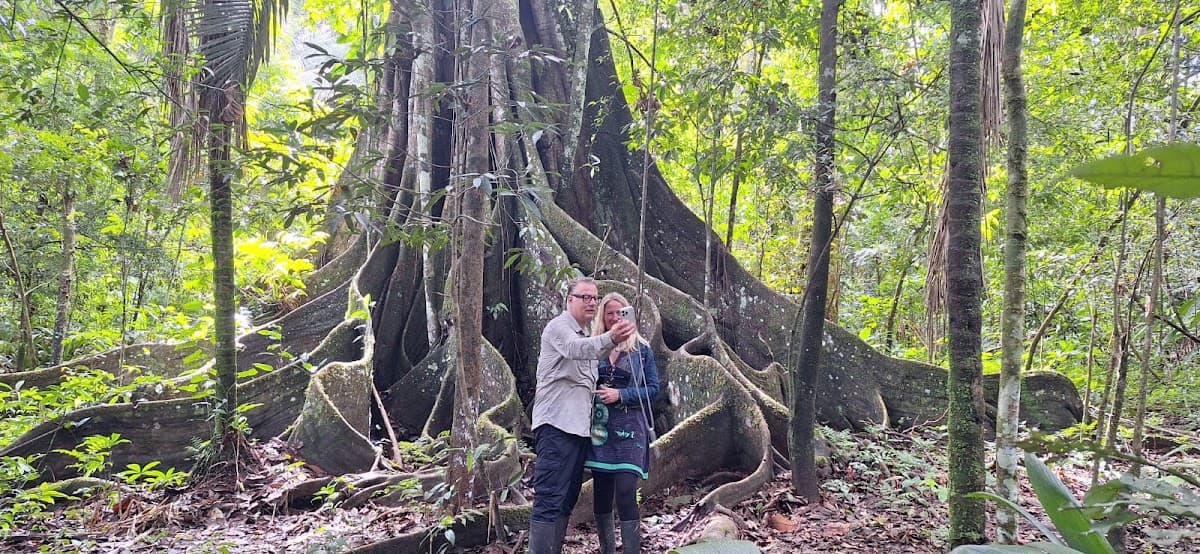 Amazon huasai tours iquitos