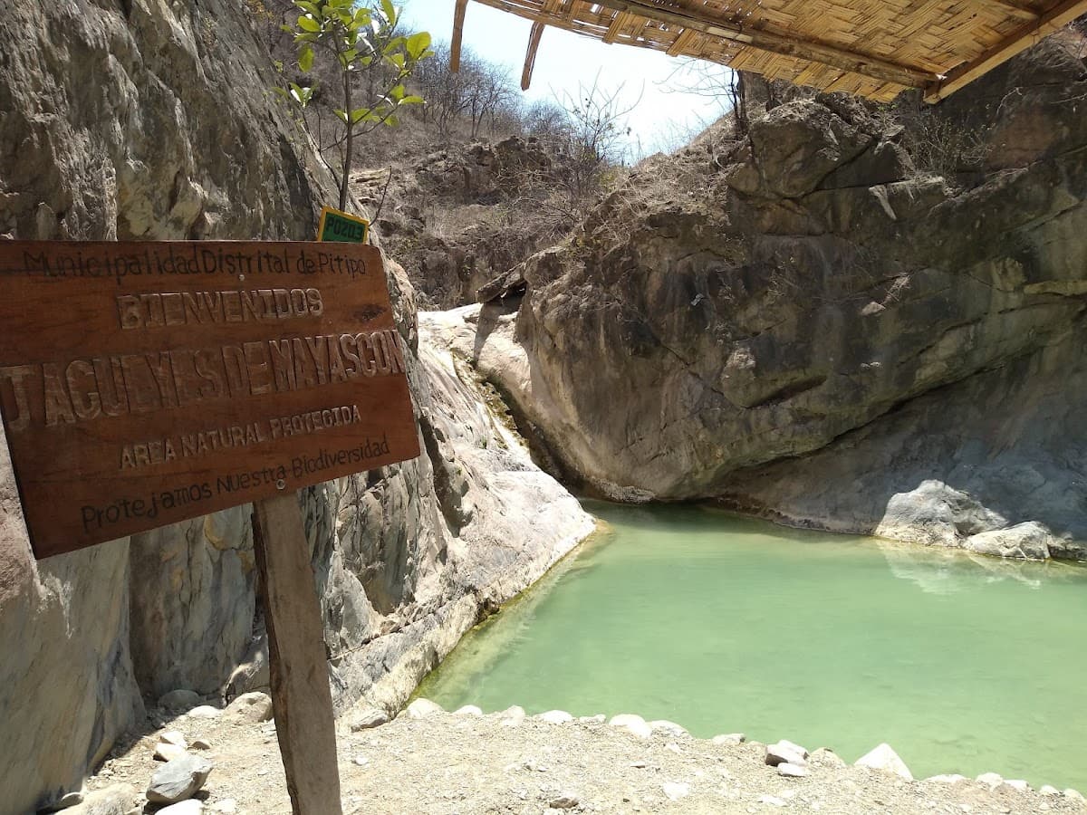 Los Jagüeyes de Mayascón