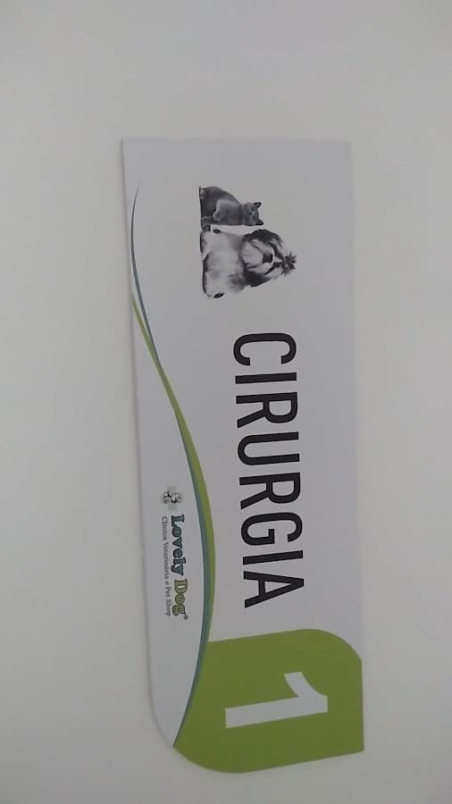 Veterinary Clinic Lovely - Dog — foto