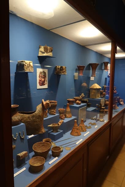 Museo Arqueológico de la Universidad