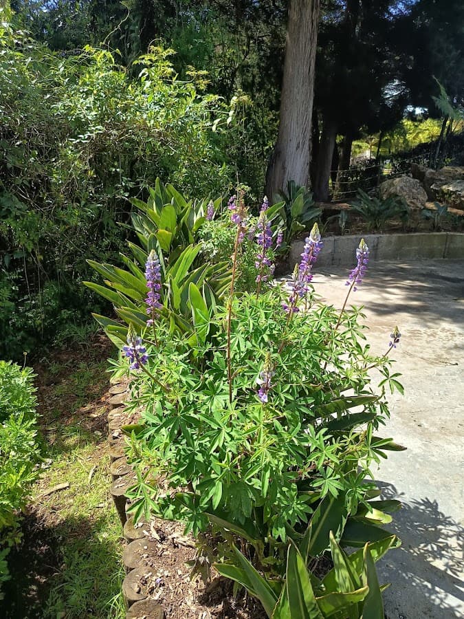Parque Arví — foto