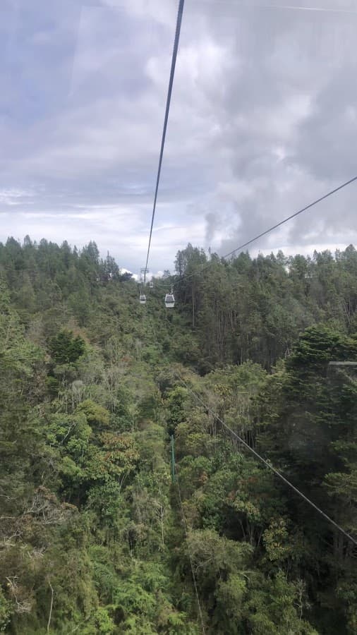 Parque Arví — foto