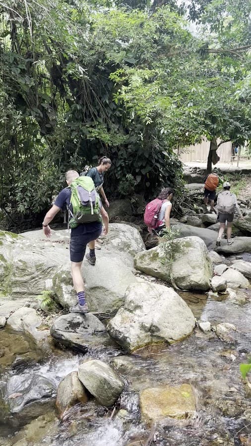Magic Tour Colombia - Ciudad Perdida Santa Marta - Lost City Trek - Tayrona Park — foto
