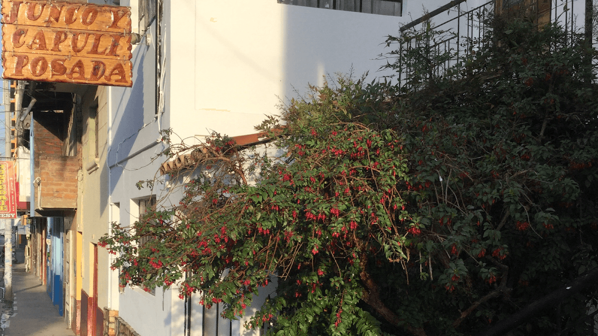 Posada Junco y Capuli — foto