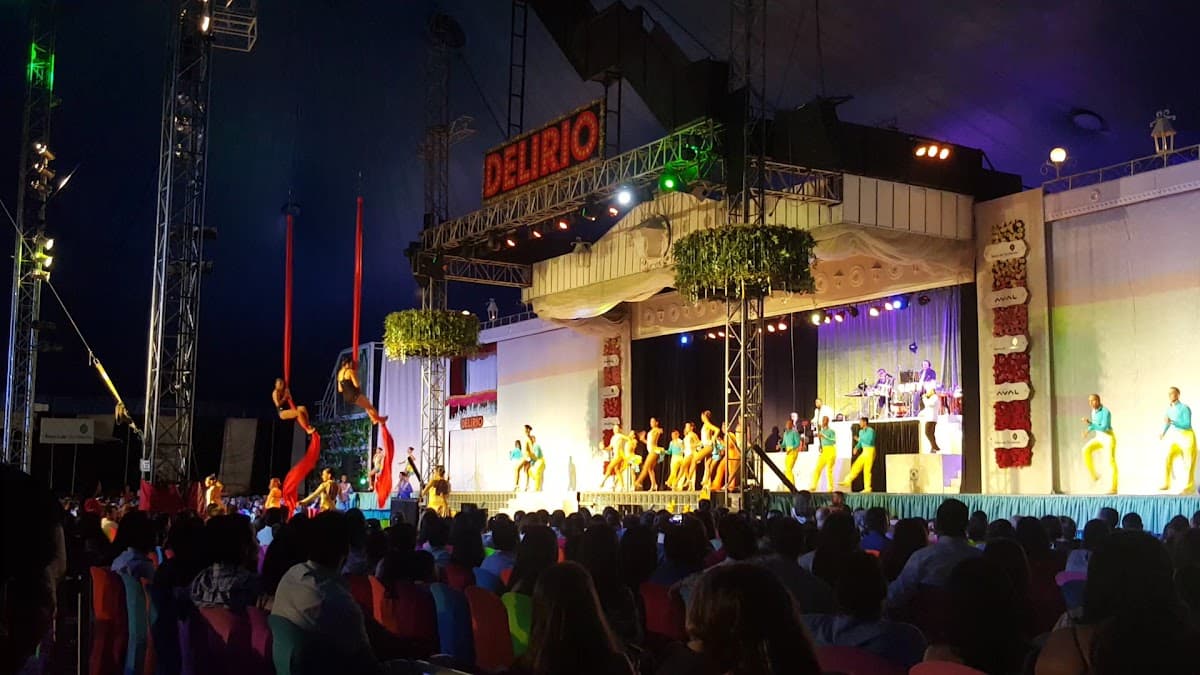 Carpa Delirio — foto
