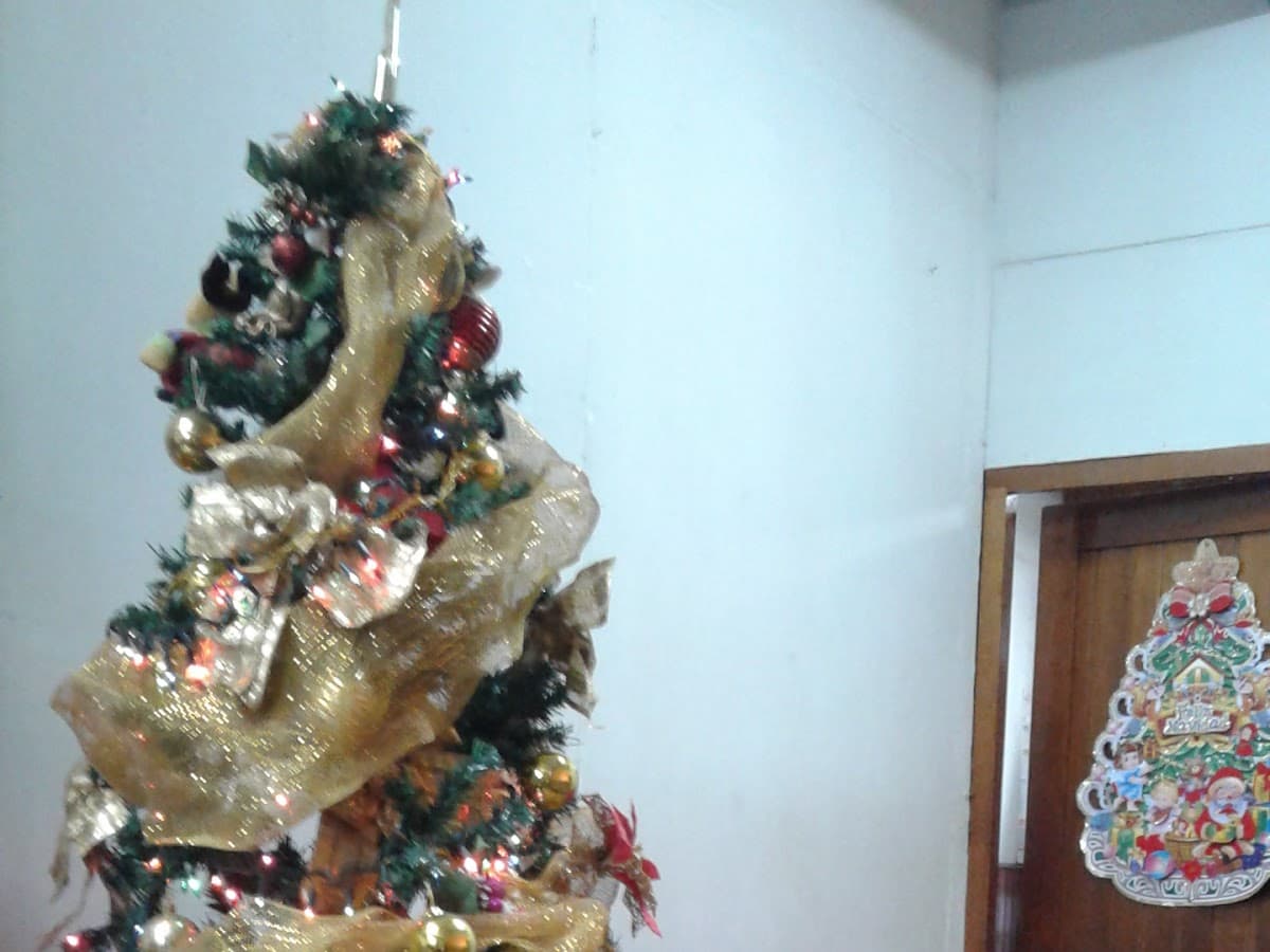 Escuela de Educación Superior Pedagógica Público "Loreto" — foto