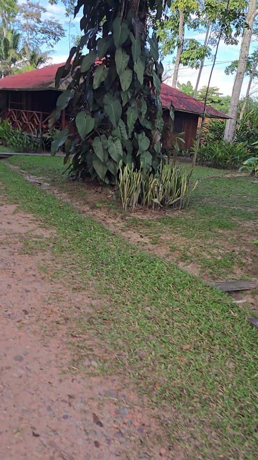 Manish Hotel Ecológico — foto