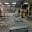Gimnasio survivor gym