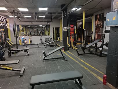 Gimnasio survivor gym — foto
