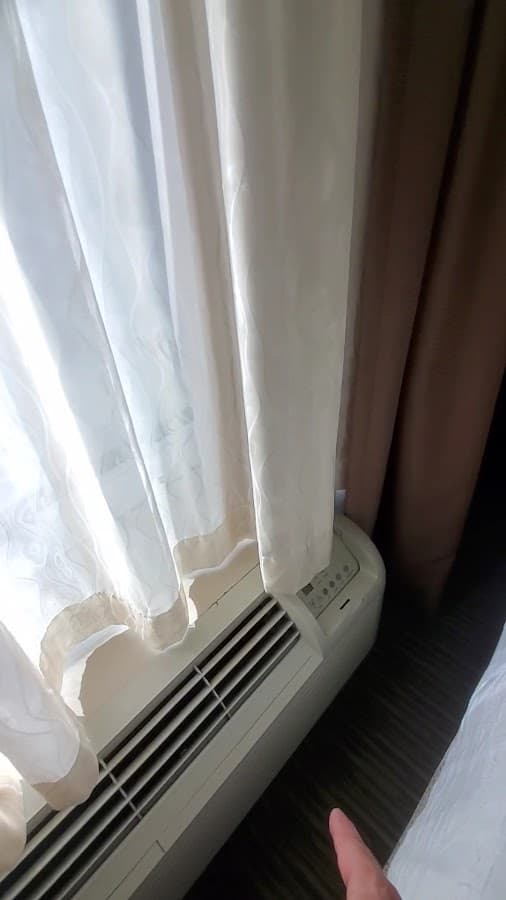 Hilton Garden Inn Tampa North — foto