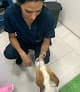 CatDog Hospital Veterinario — foto