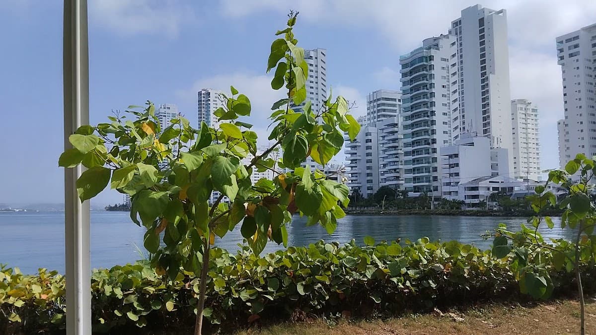 Bahía De Cartagena — foto