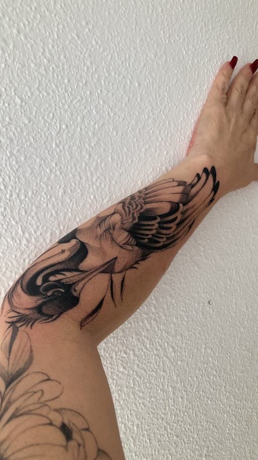 ORIGIN TATTOO STUDIO — foto