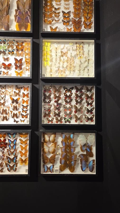 Butterfly World — foto