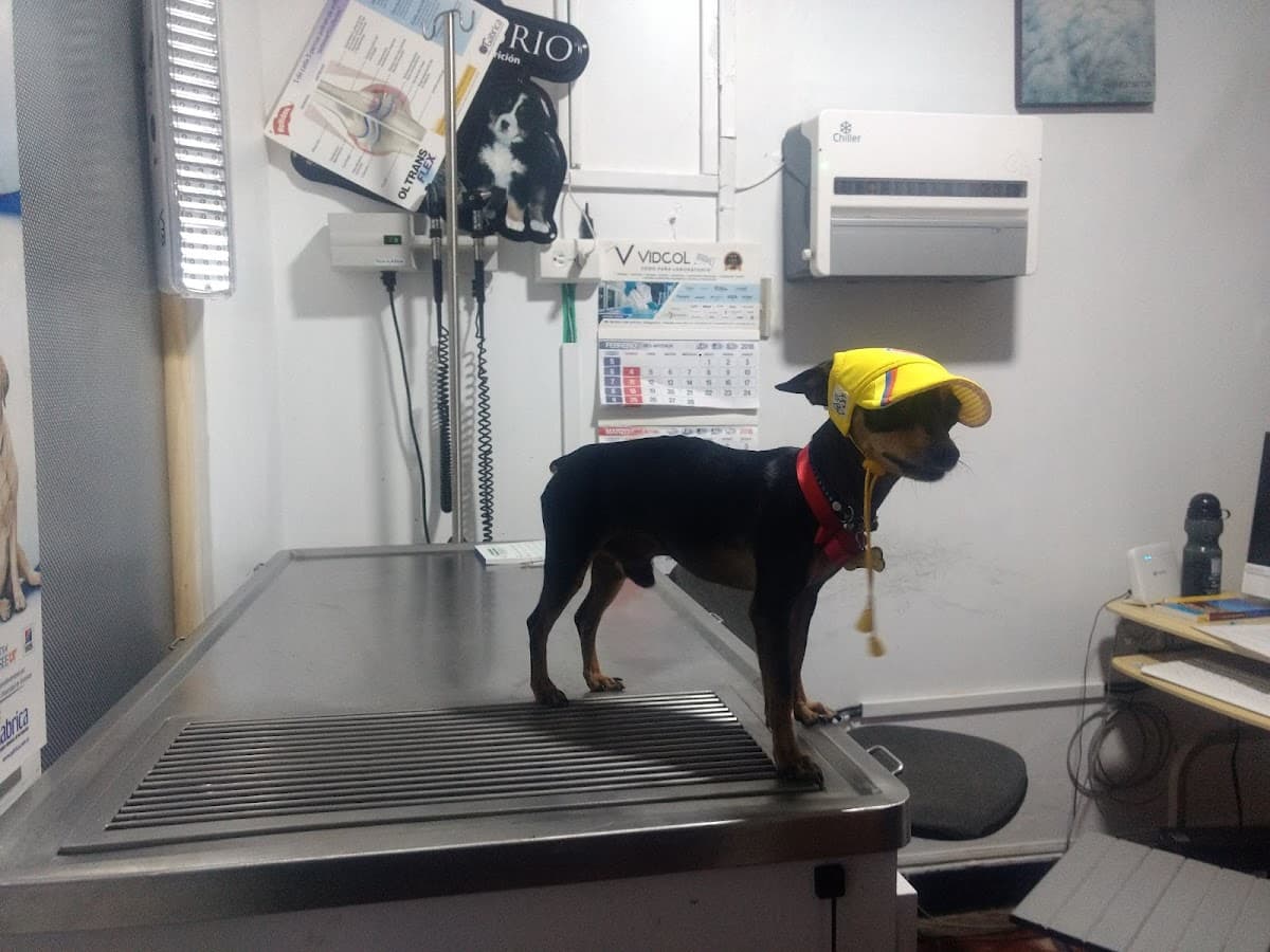 Clínica Veterinarios Especializados