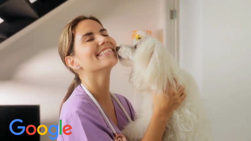 Traumatologo Veterinario Guayaquil - VetPro Hasan Ali — foto