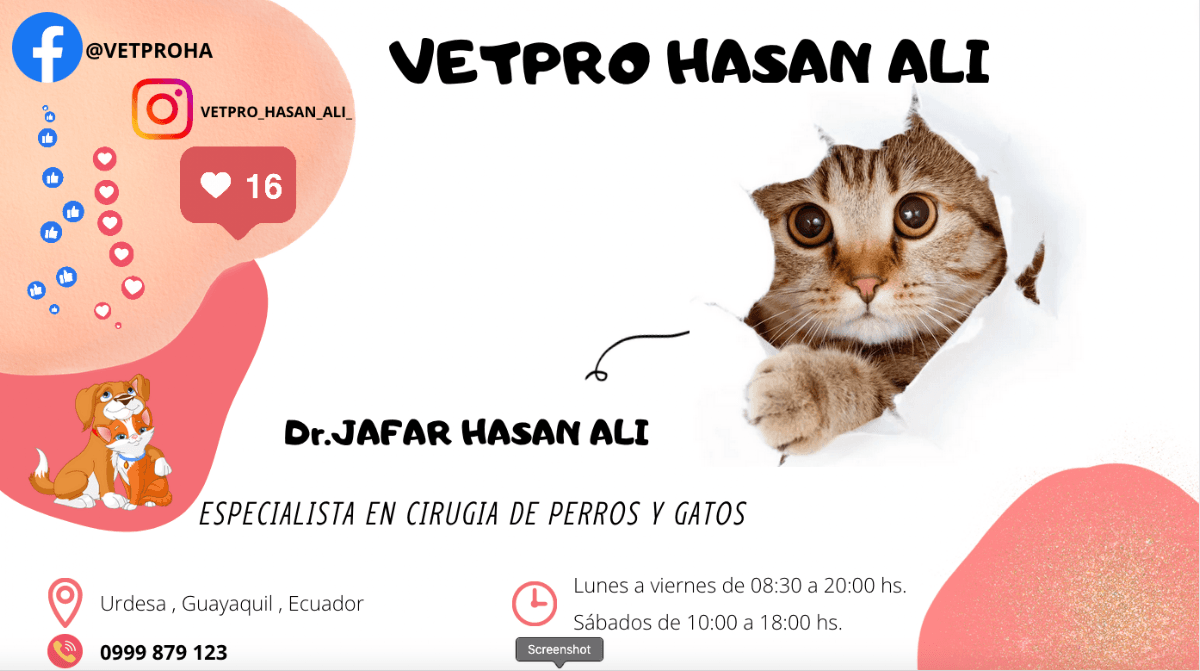 Traumatologo Veterinario Guayaquil - VetPro Hasan Ali — foto