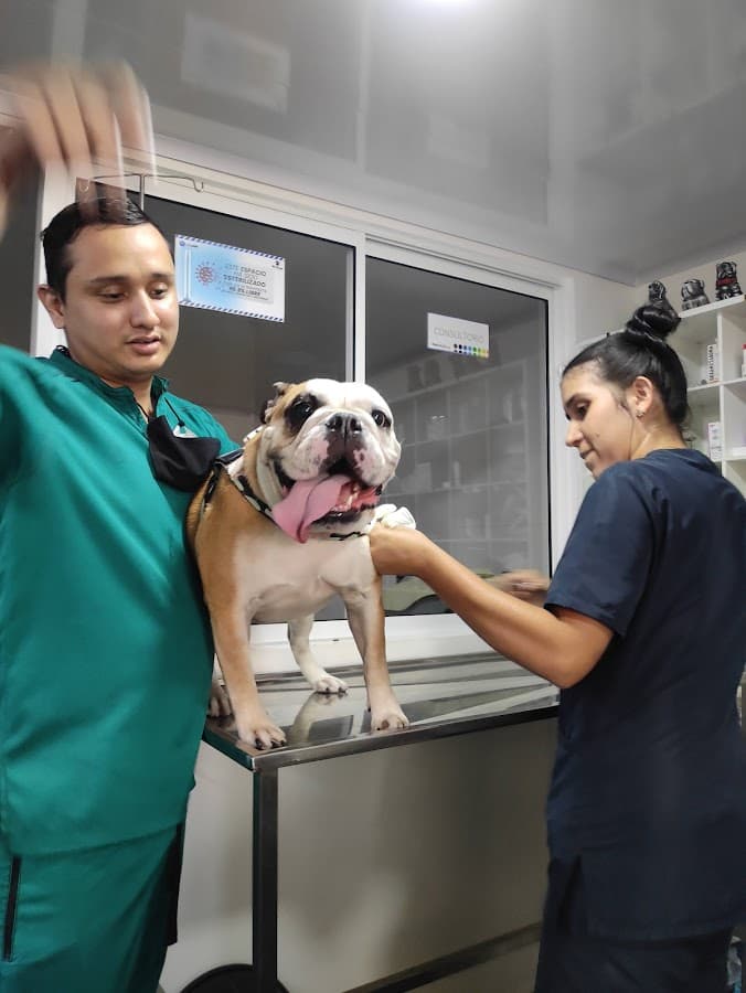 Veterinaria Mr Guau
